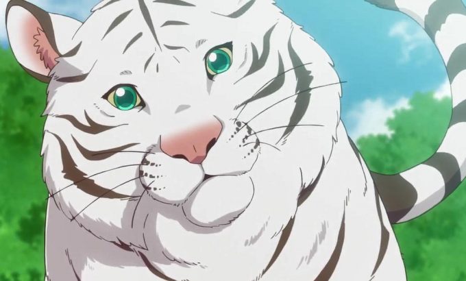 为了在异世界也能抚摸毛茸茸而努力。 異世界でもふもふなでなでするためにがんばってます。