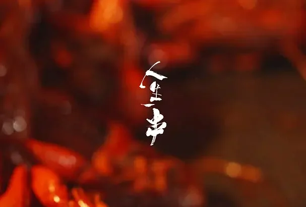 人生一串 第一季