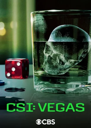 犯罪现场调查：维加斯 第三季 CSI: Vegas Season 3