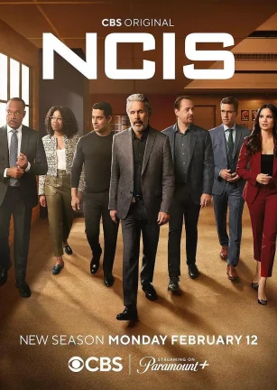 海军罪案调查处 第二十一季 NCIS Season 21