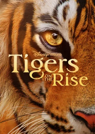 老虎崛起 Tigers on the Rise