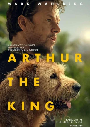 冠军亚瑟 Arthur the King