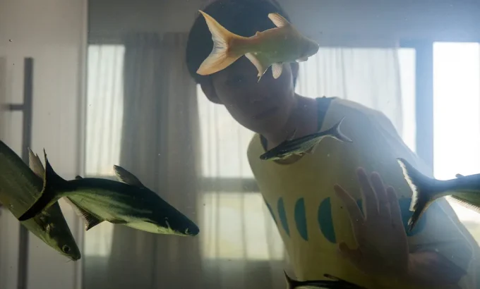 睡觉时眼睛睁开 Dormir de olhos abertos