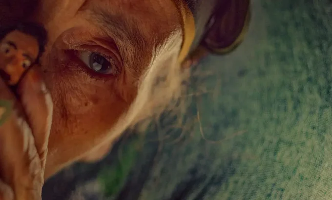 所有谎言之母 كذب أبيض