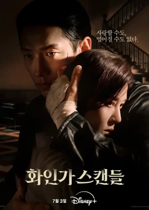 红天鹅 화인가 스캔들