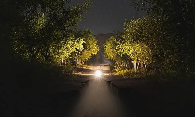 黎明将逝 Dawning