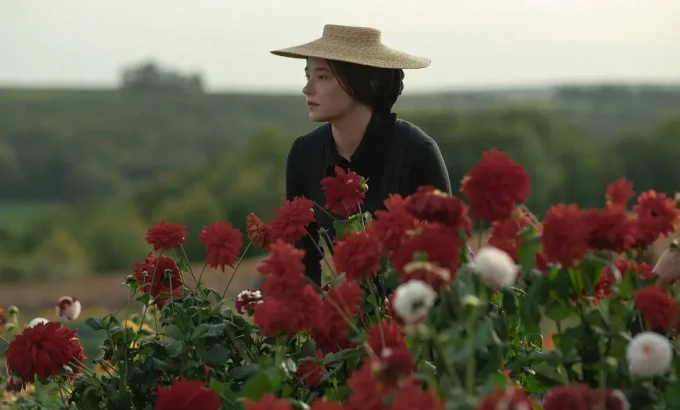 凯歌香槟 Widow Clicquot