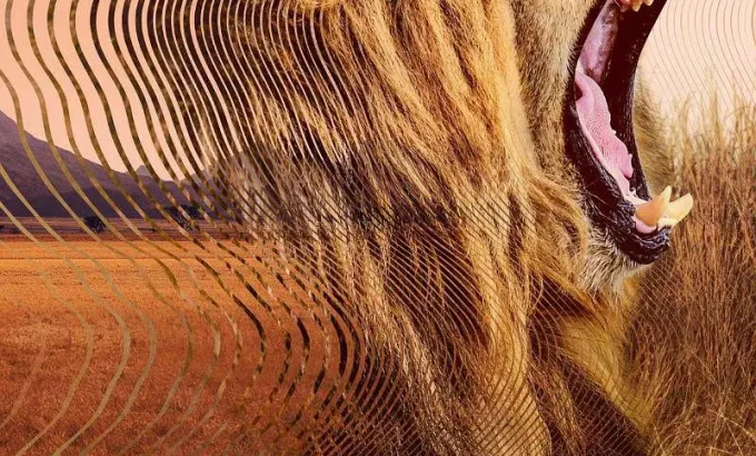 大卫·艾登堡：大自然的声音 Secret World of Sound with David Attenborough