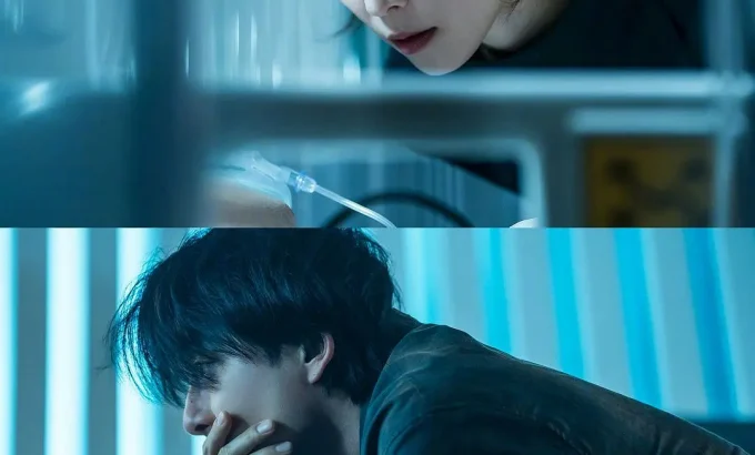 一箱情缘 트렁크