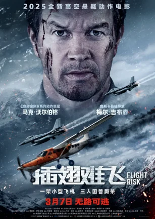 插翅难飞 Flight Risk