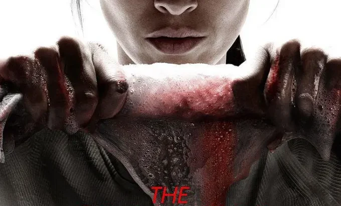 清洁工 第四季 The Cleaning Lady Season 4