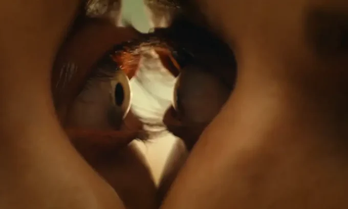 同甘共苦 Together