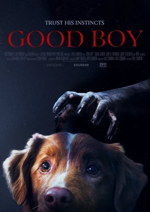 好狗狗 Good Boy