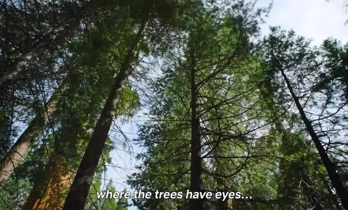 大自然恐怖故事 Nightmares of Nature