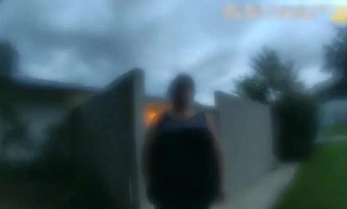 完美邻居 The Perfect Neighbor