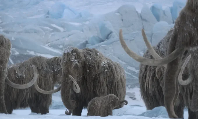 史前星球：冰川时代 Prehistoric Planet: Ice Age