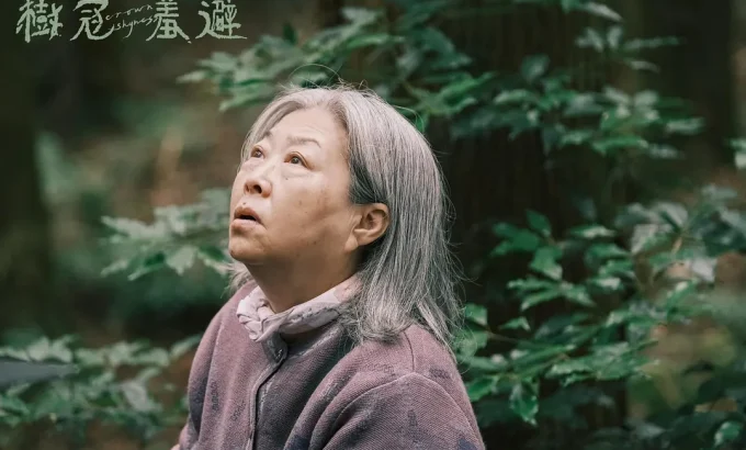 树冠羞避 樹冠羞避