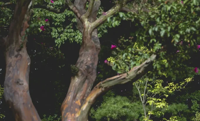 无可奈何 어쩔수가없다