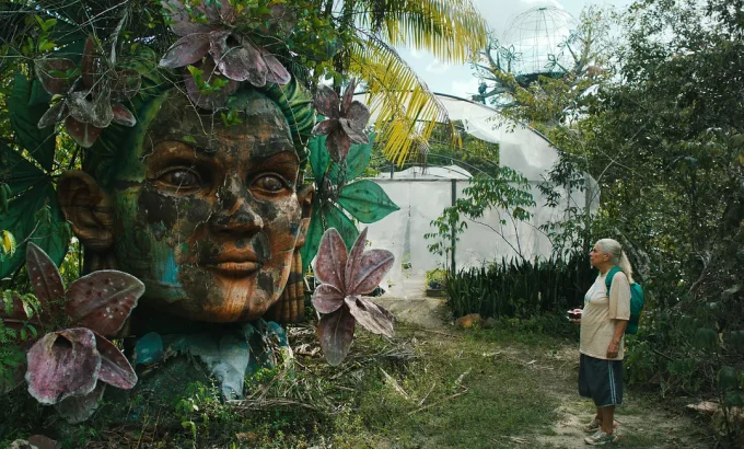 天空的另一面 O Último Azul