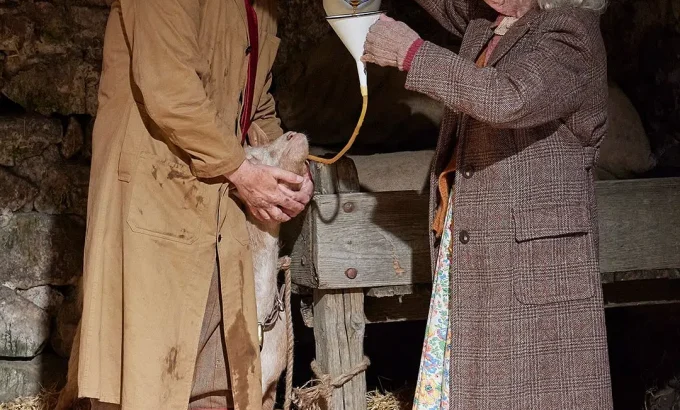 万物生灵：2025圣诞特别集 All Creatures Great and Small: 2025 Christmas Special