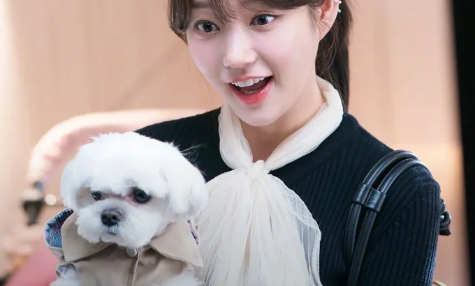 柔美的细胞小将 第三季 유미의세포들 시즌3