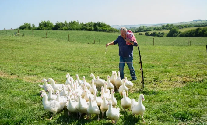 克拉克森的农场 第五季 Clarkson's Farm Season 5